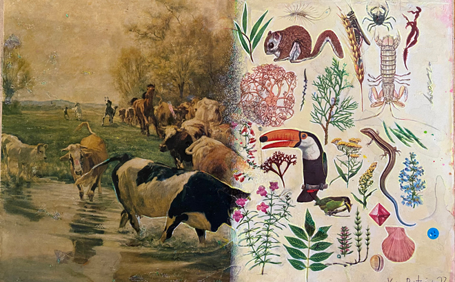 Nature-inside-the-walls--cover